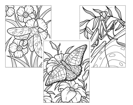 Set of 3, 18x24 Kids Coloring Posters: Butterfly, Praying Mantis & Spotted Moth – 25% Savings When Purchased as a Set - Fox Chapel Publishing Co.
