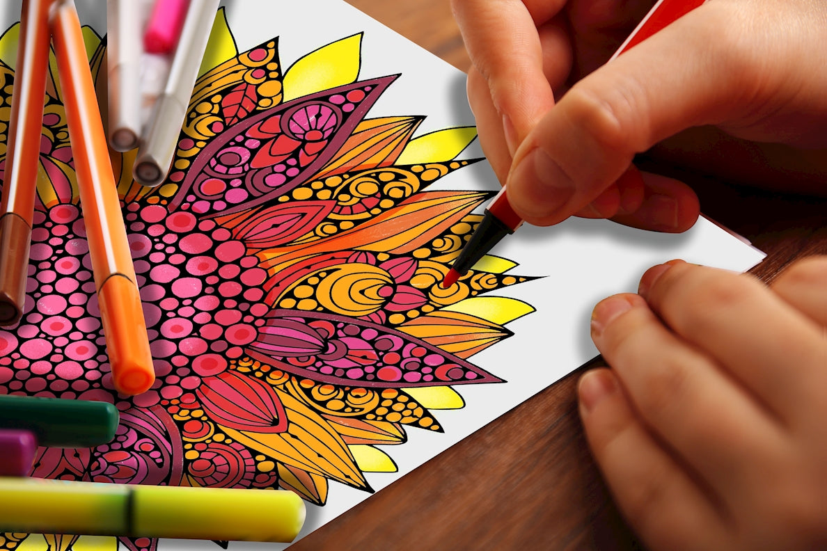 Sunflower, In the Meadow 24x36 Coloring Poster