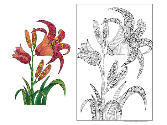 Lily, Gentle Bloom 24x36 Coloring Poster - Fox Chapel Publishing Co.