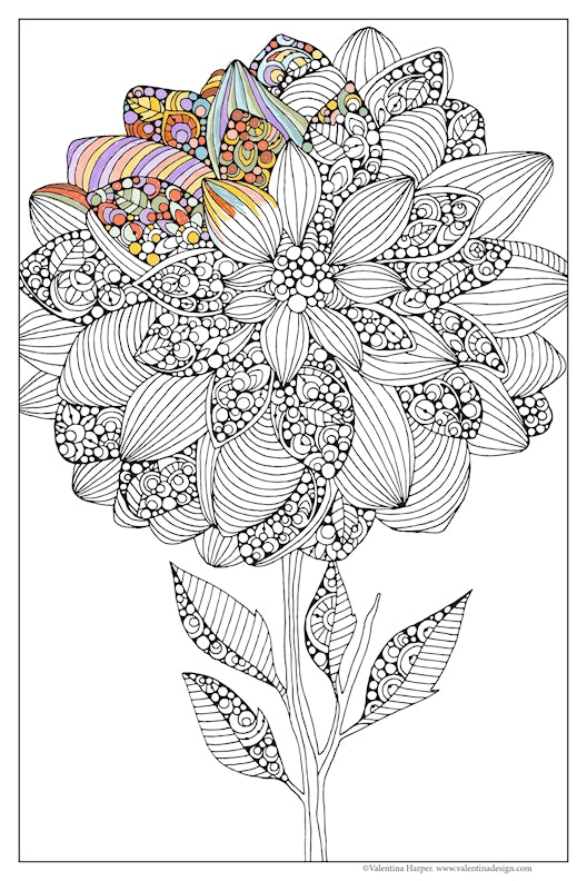 Dahlia, Sweet Bouquet Coloring Poster