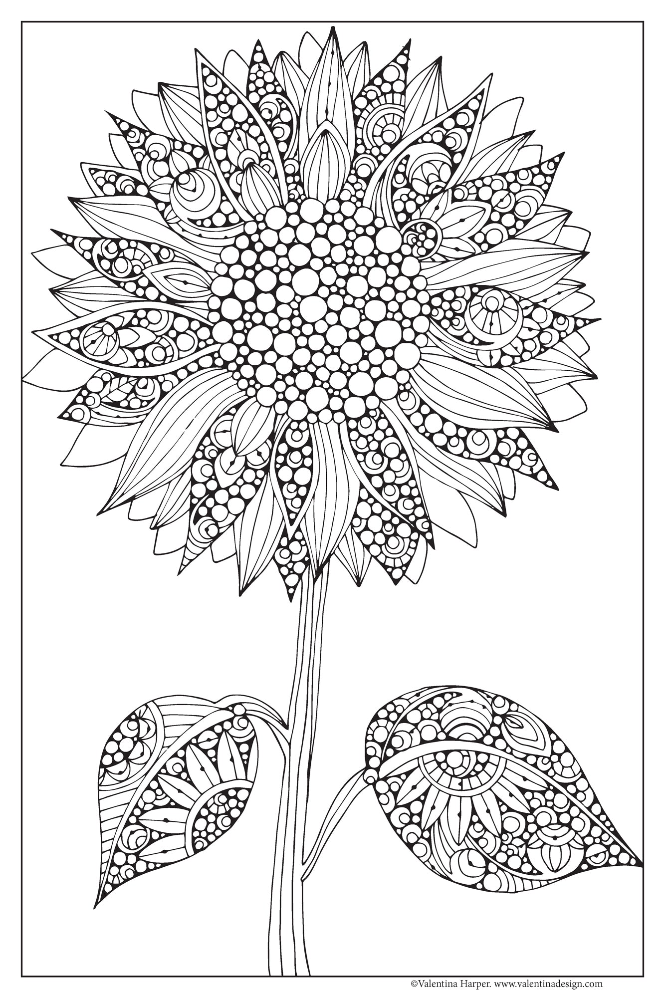 Set of 3, 24x36 Coloring Posters: Lily, Sunflower & Dahlila – 25% Savings When Purchased as a Set - Fox Chapel Publishing Co.
