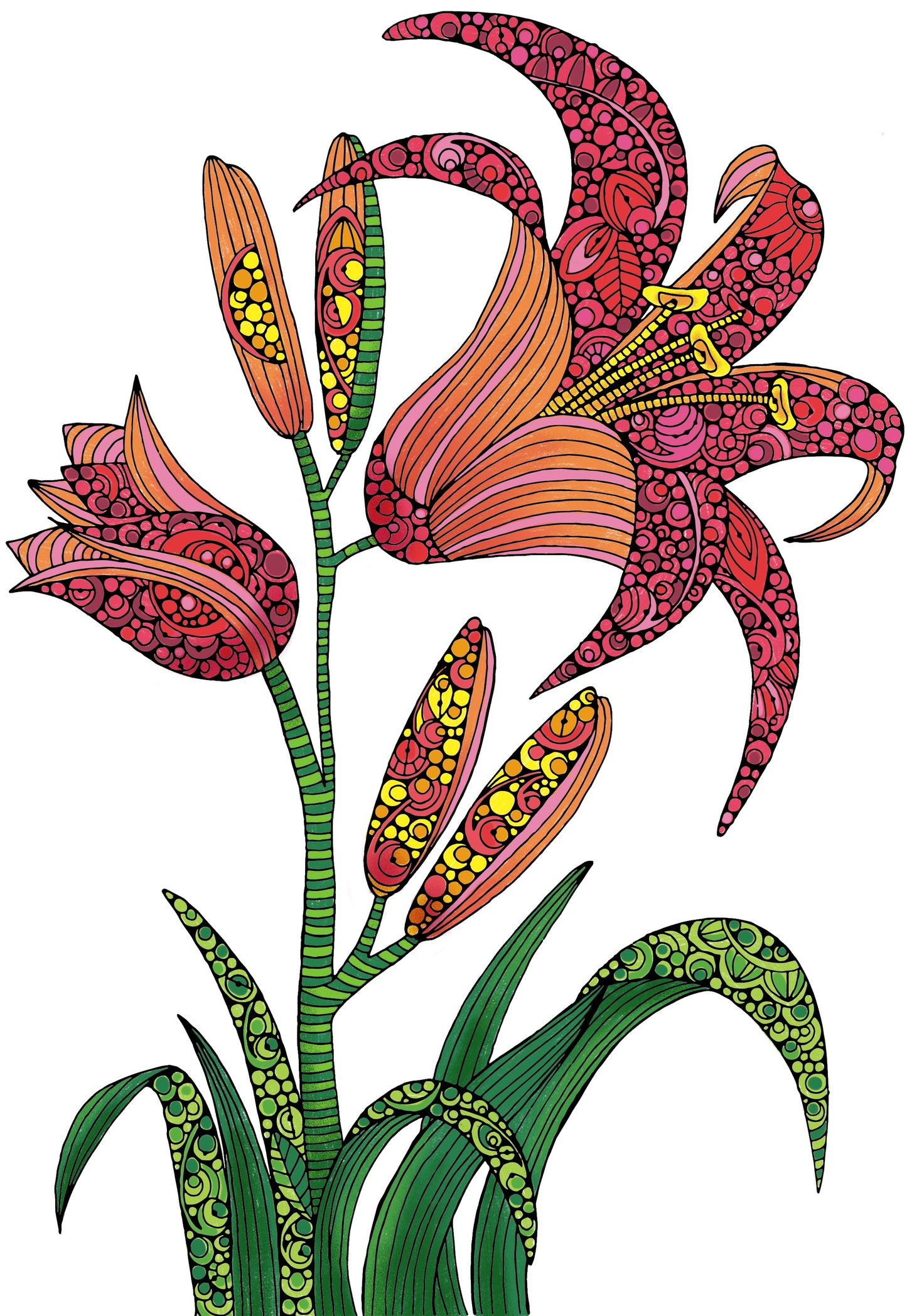 Set of 3, 24x36 Coloring Posters: Lily, Sunflower & Dahlila – 25% Savings When Purchased as a Set - Fox Chapel Publishing Co.