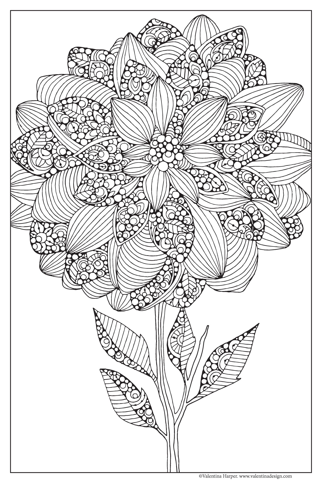 Set of 3, 24x36 Coloring Posters: Lily, Sunflower & Dahlila – 25% Savings When Purchased as a Set - Fox Chapel Publishing Co.