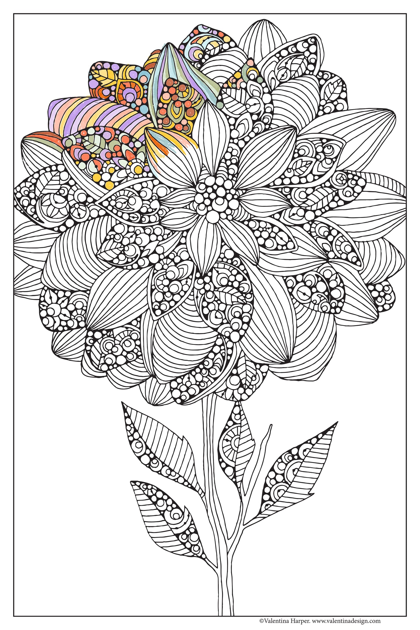 Set of 3, 24x36 Coloring Posters: Lily, Sunflower & Dahlila – 25% Savings When Purchased as a Set - Fox Chapel Publishing Co.