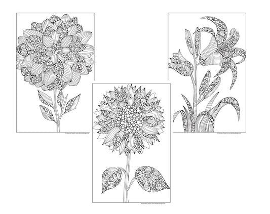 Set of 3, 24x36 Coloring Posters: Lily, Sunflower & Dahlila – 25% Savings When Purchased as a Set - Fox Chapel Publishing Co.
