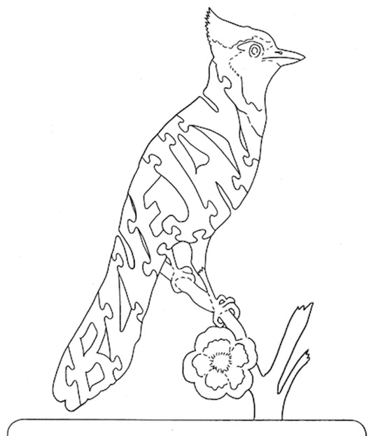 Bluejay - Fox Chapel Publishing Co.