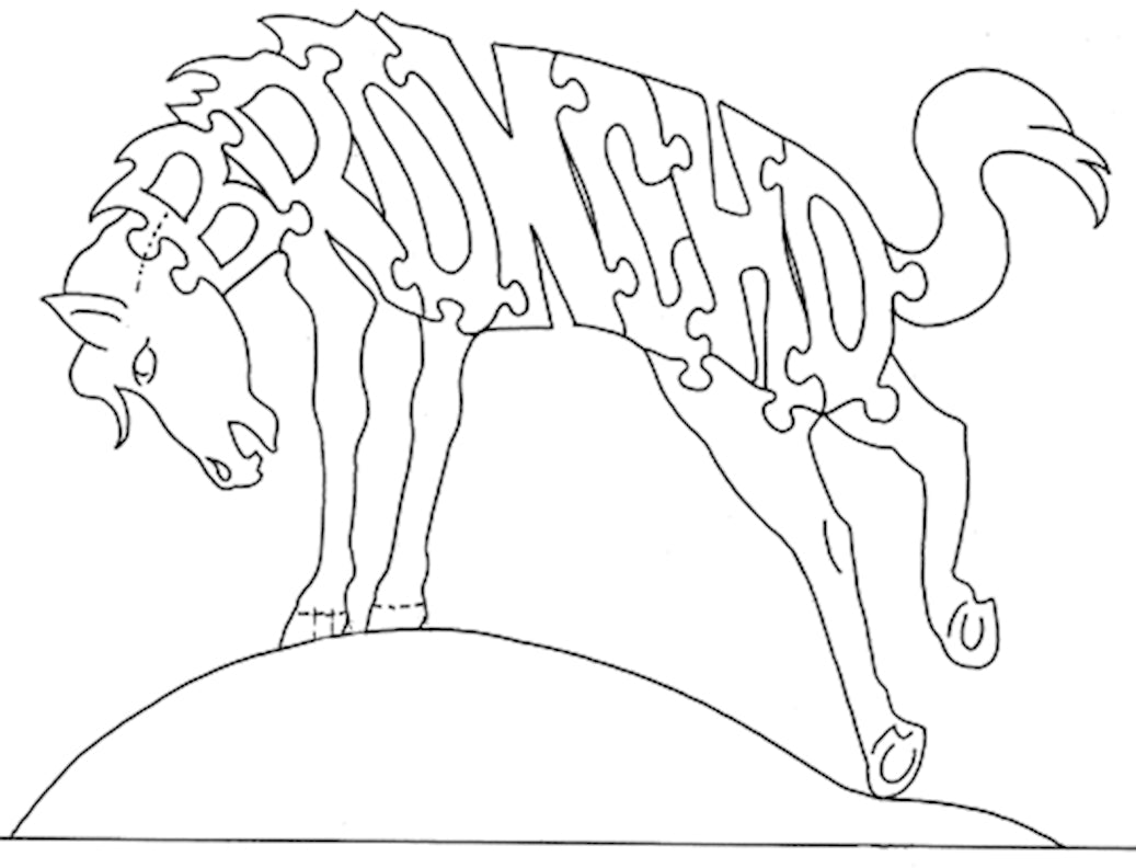 Broncho-Alt. Spelling Bronco - Fox Chapel Publishing Co.