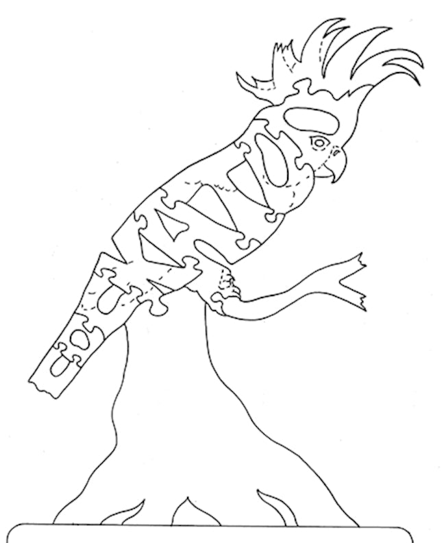 Cockatoo - Fox Chapel Publishing Co.