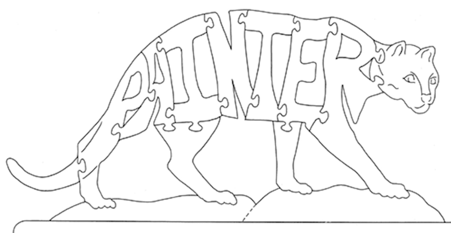 Painter - Fox Chapel Publishing Co.