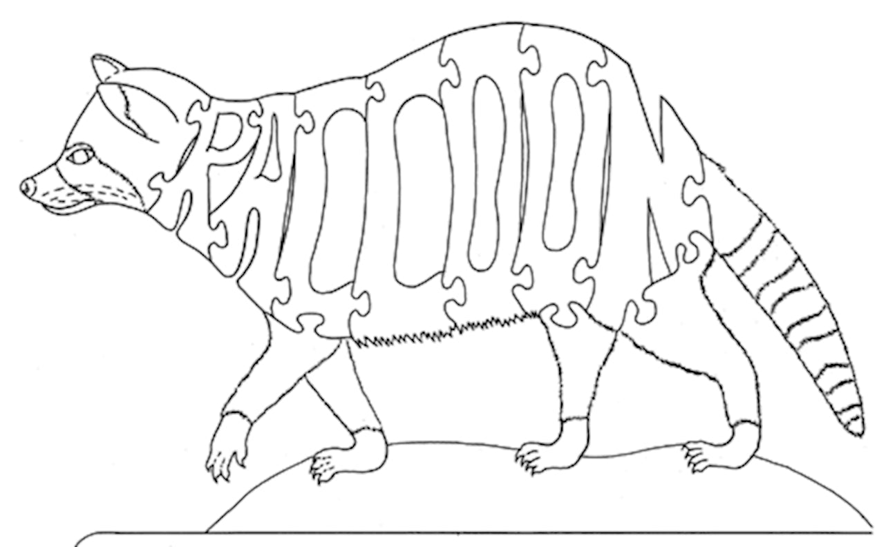 Raccoon - Fox Chapel Publishing Co.