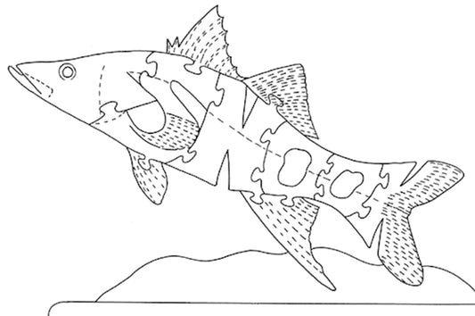 Snook - Fox Chapel Publishing Co.