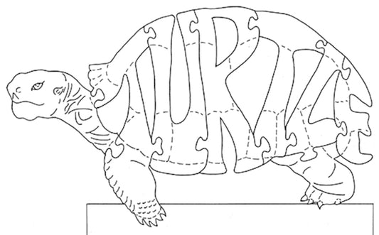 Turtle - Fox Chapel Publishing Co.