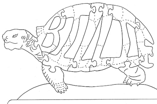 Turtle - Billie - Fox Chapel Publishing Co.