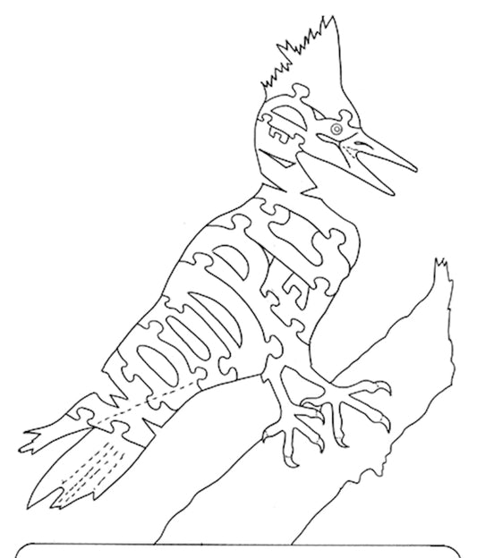 Yellow Bill Woodpecker-Woodpecker - Fox Chapel Publishing Co.
