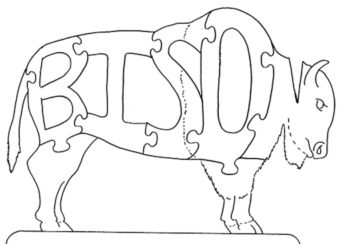 Bison - Fox Chapel Publishing Co.