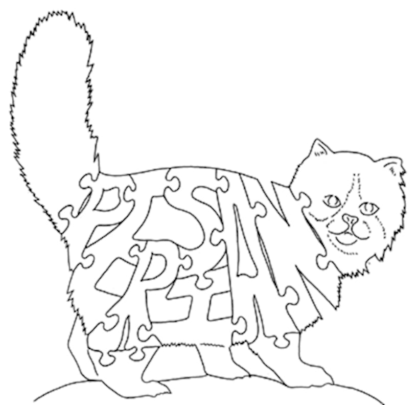 Cat - Persian - Fox Chapel Publishing Co.