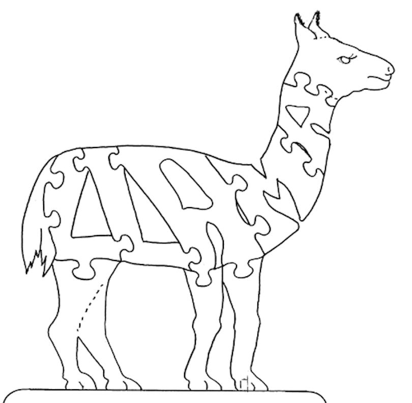 Llama - Fox Chapel Publishing Co.