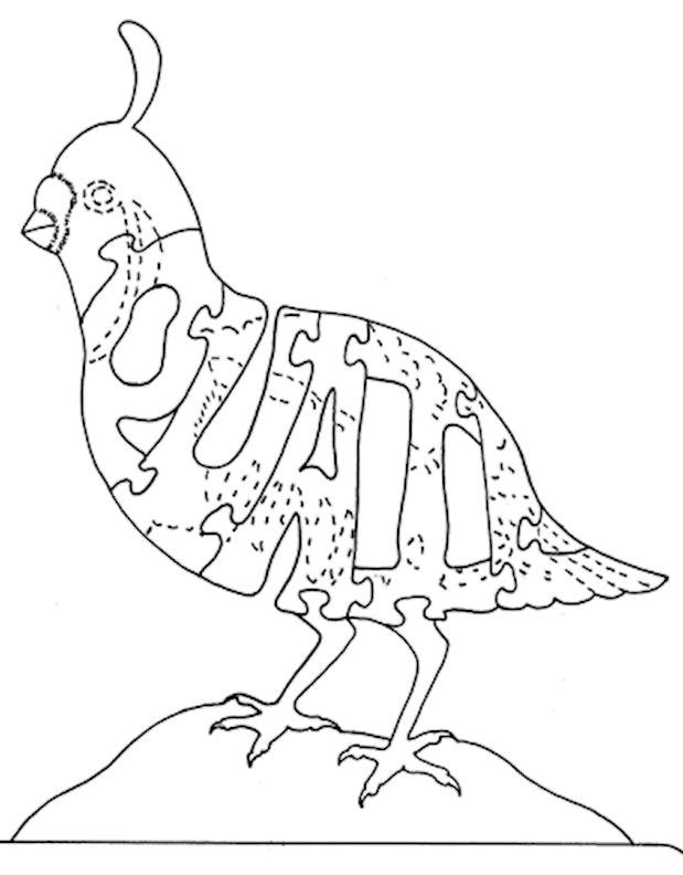 Quail - Fox Chapel Publishing Co.