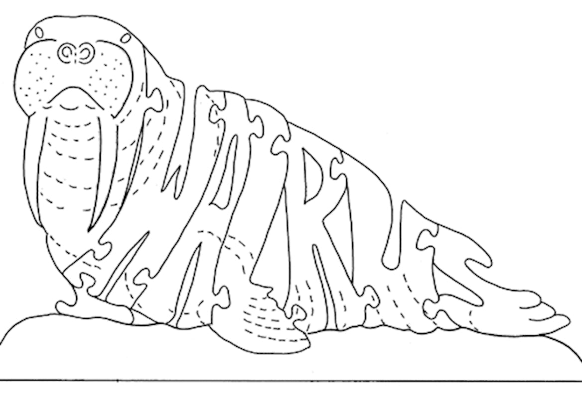 Walrus