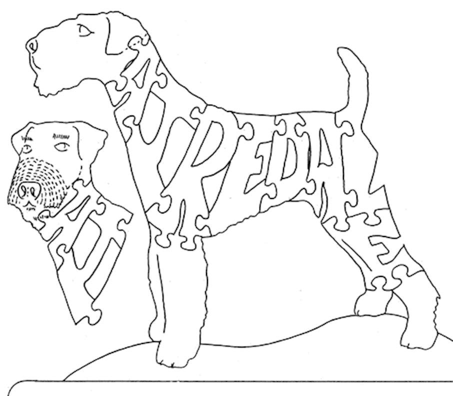 Airedale - Nose to Tail