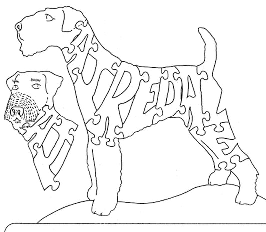 Airedale - Nose to Tail - Fox Chapel Publishing Co.
