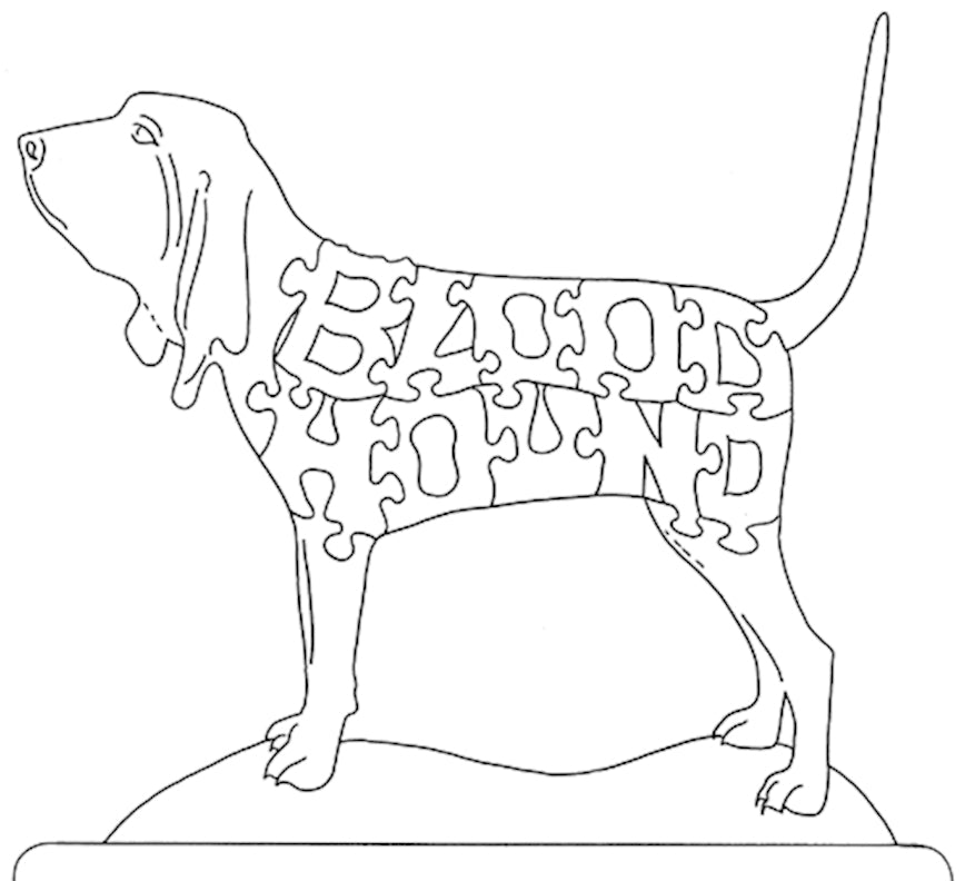 Bloodhound - Fox Chapel Publishing Co.