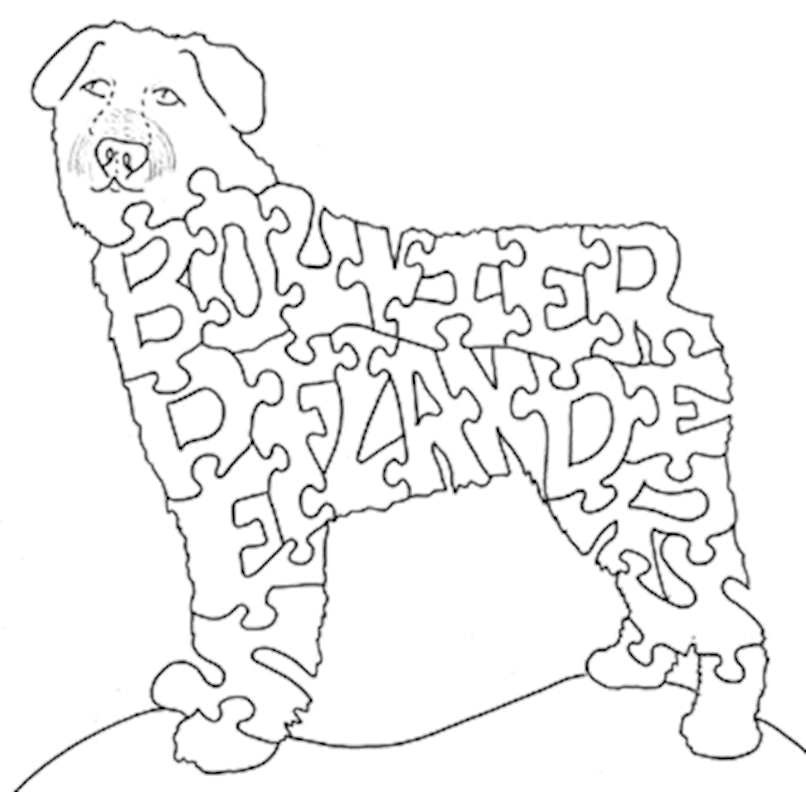 Bouvier Des Flanders