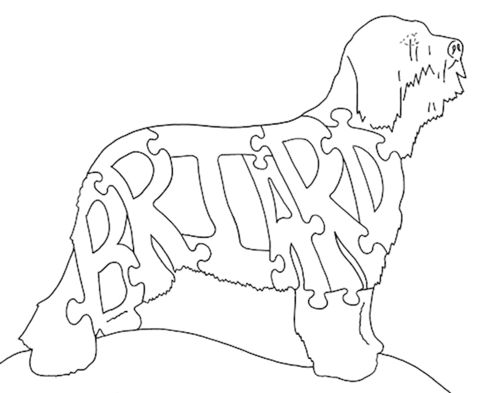 Briard - Fox Chapel Publishing Co.