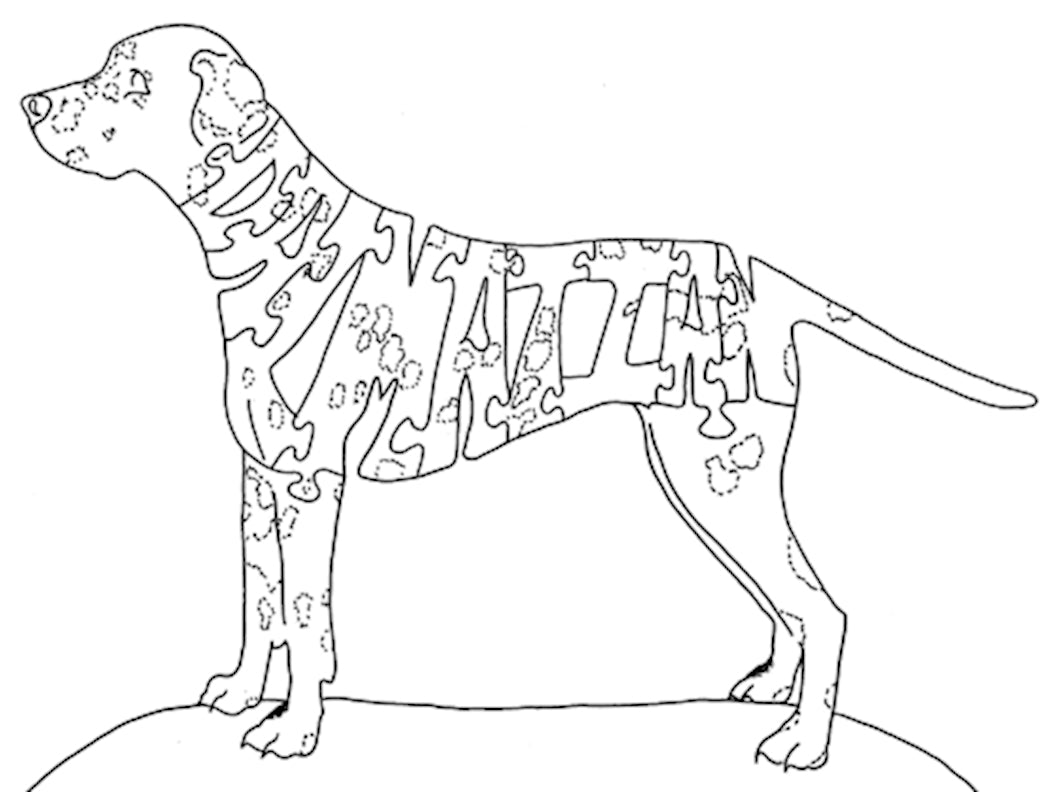 Dalmatian - Fox Chapel Publishing Co.