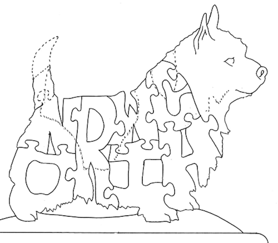 Norwich Terrier - Norwich