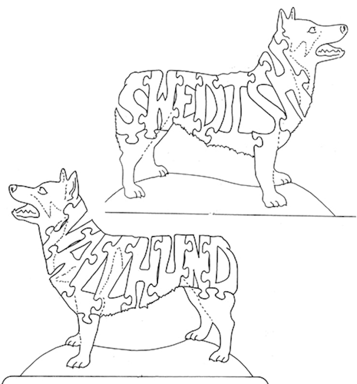 Swedish & Vallhund