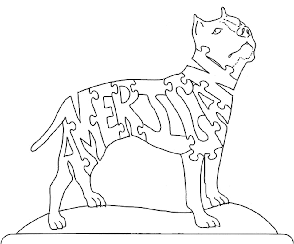 American Staffordshire Terrier-American - Fox Chapel Publishing Co.