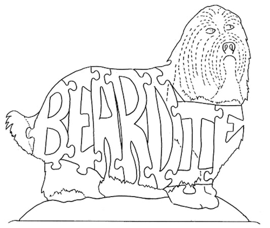 Bearded Collie-Beardie