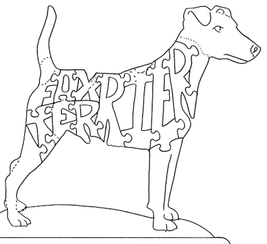 Fox Terrier-Smooth Tail to Nose - Fox Chapel Publishing Co.