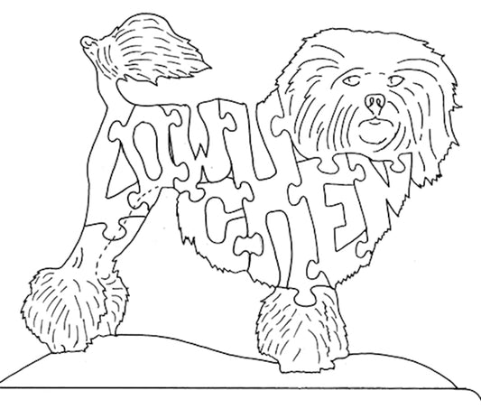 Lowchen-Tail to Nose - Fox Chapel Publishing Co.