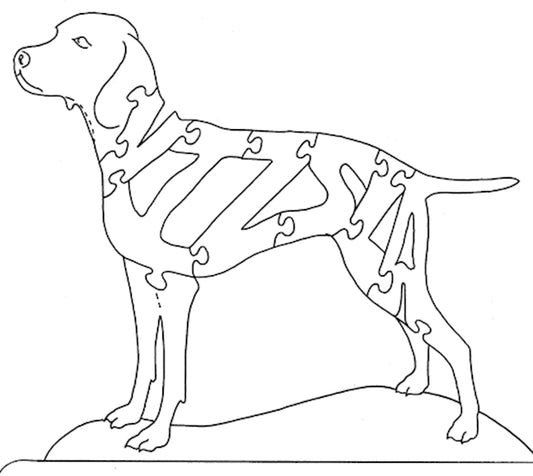 Vizsla - Fox Chapel Publishing Co.