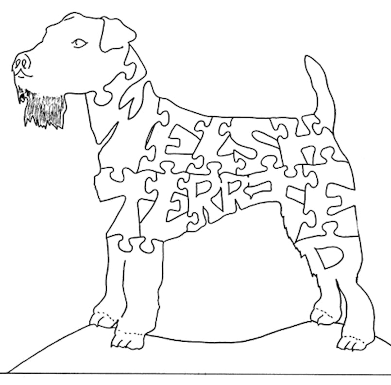 Welsh Terrier