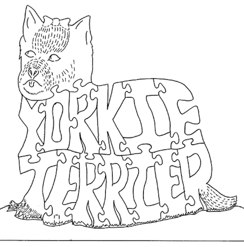 Yorkie Terrier
