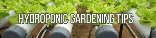 Hydroponic Gardening Tips