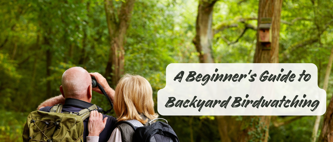 A Beginner's Guide to Backyard Birdwatching