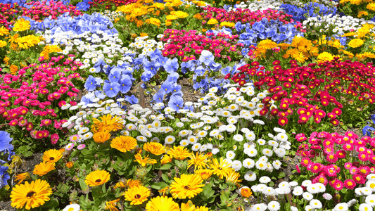 10 Gardening Tips That Will Make Your Yard a Buzz-Worthy Oasis (Even If You Don’t Have a Green Thumb) - Fox Chapel Publishing Co.