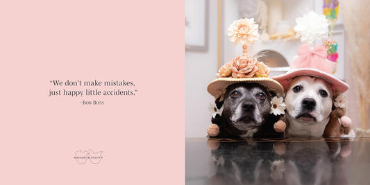 Every Day Deserves a Smile: Celebrate the Small Things with Sookie and Ivy