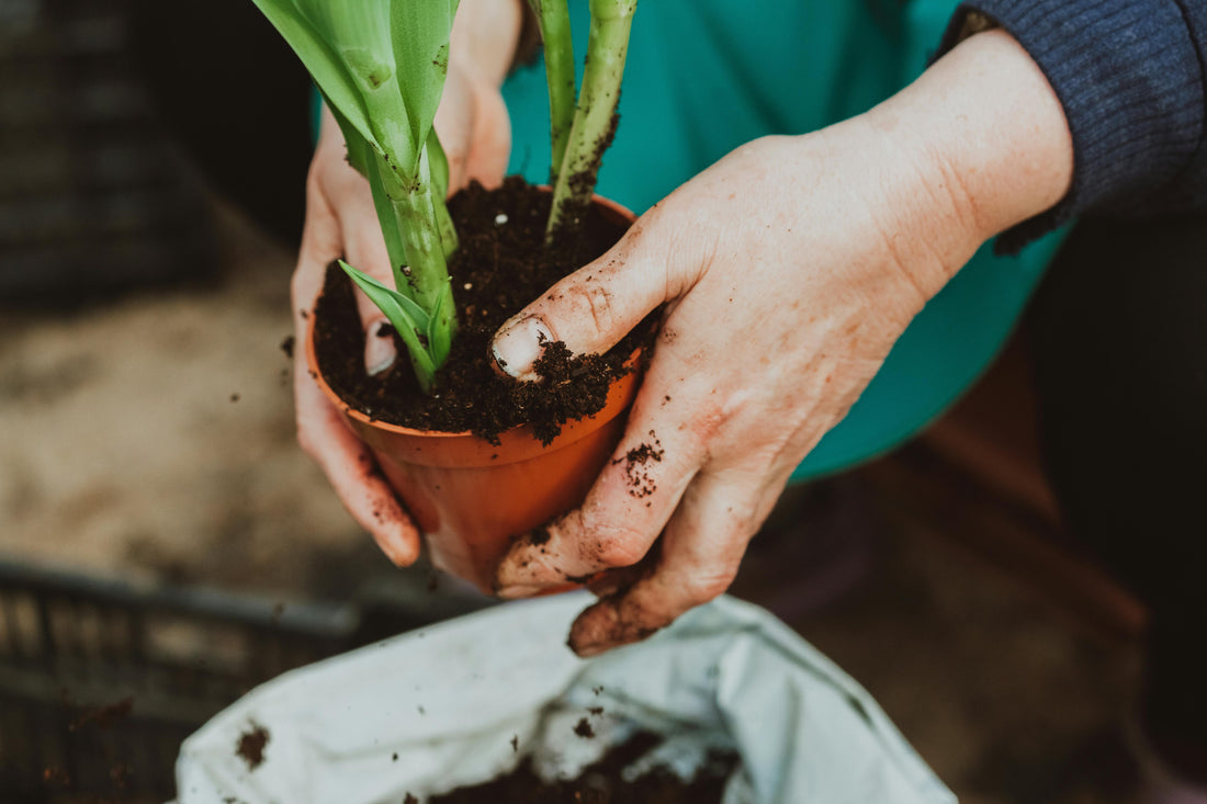 “Small-Space Organic Gardening for Renters: 7 Easy Hacks to Grow More in Less Space” - Fox Chapel Publishing Co.