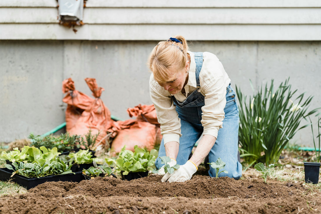Organic Gardening for Renters: 7 Smart Hacks for Growing in Small Spaces
