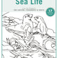 Sea Life Pattern Package (Printed) - Fox Chapel Publishing Co.