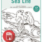 Sea Life Pattern Package (Download)
