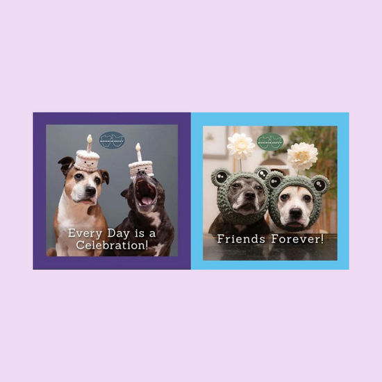 Fox Chapel Publishing Fox Chapel Publishing Co