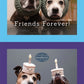 Fineline #6 - Pets & People