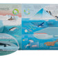 Lift the Flap: Discovery! Oceans