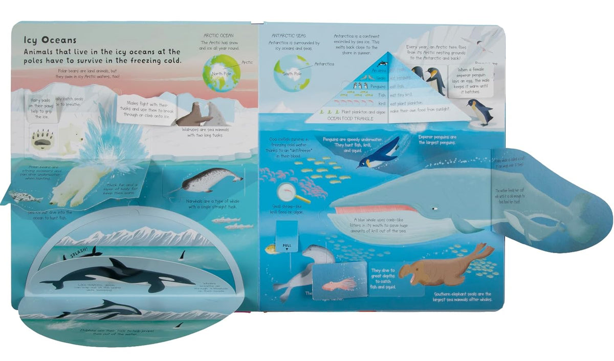 Lift the Flap: Discovery! Oceans